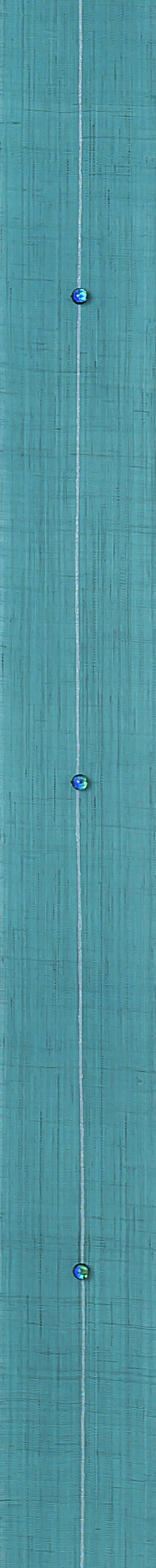 新しい「細タペ」